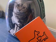 -中农国际动物医院24小时·猫科·骨科·急重症中心