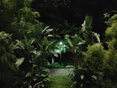 -福道