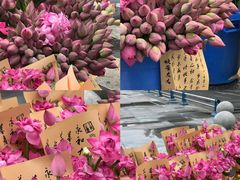 -成都中医药大学(温江校区)