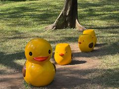 -云溪植物园