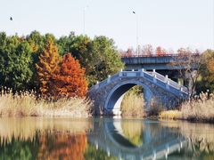 -虎丘湿地公园