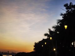 -深圳湾公园(南山区)