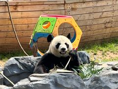 -秦皇岛野生动物园