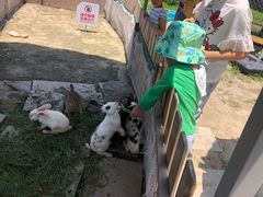 -菊园百果园