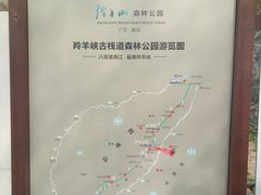 -羚羊峡古栈道森林公园