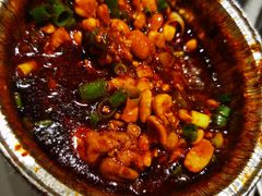 -老号尤兔头(幸福店)