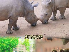 -长鹿旅游休博园