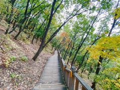 -帽儿山国家森林公园