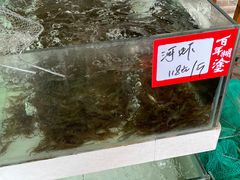 -水上人家河鲜