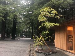 -北海道神宫