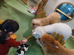 -藦茜花园宠物主题亲子互动体验馆(国顺东路店)