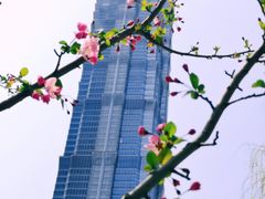 -陆家嘴中心绿地