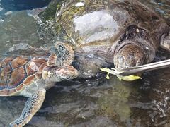 -海合安成都极地海洋公园