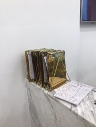 -YESIDO椰岛造型