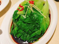 -肥仔文澳门猪骨煲(南京西路店)