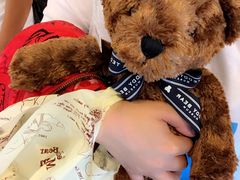 -济州岛泰迪熊博物馆