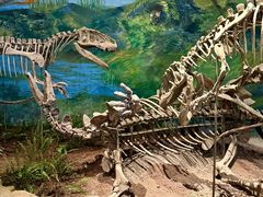 -自贡恐龙博物馆