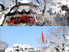 -雾凇岛