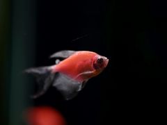 -欢乐海岸海洋奇梦馆