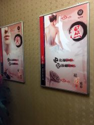 -归真美学颜究中心