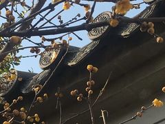 -无锡梅园公园