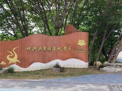 -泗洪洪泽湖湿地景区