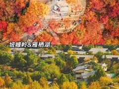 -沉浸北京·团建旅行·密室剧本杀·年会会议轰趴拓展