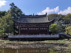 -洱海月湿地公园