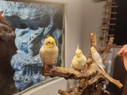 -Zoolung Zoolung动物主题公园(海信广场店)