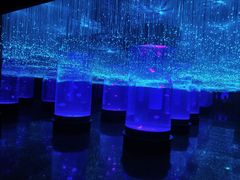 -哈尔滨波塞冬海底世界