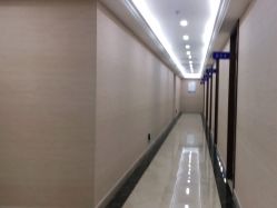 -碧莲盛·不剃发植发