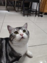 -长沙纹身·龙堂刺青·三土师傅的店