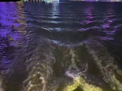-武汉两江游览·夜游长江(汉口粤汉码头)