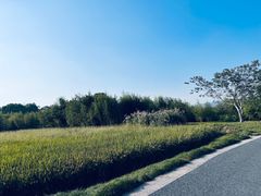 -良渚古城遗址公园