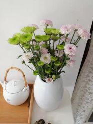 -榕树上·瑜伽普拉提