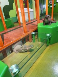 -北京科学中心儿童乐园