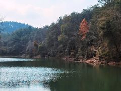 -青龙山国家森林公园