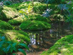 -成都市活水公园