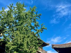 -香积寺