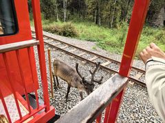 -莫尔道嘎国家森林公园