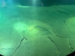 -白鹤梁水下博物馆