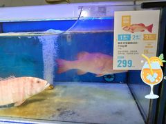-盒马鲜生(岭南新世界店)
