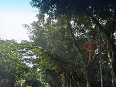 -福建鲤鱼洲酒店