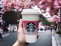 -星巴克(南京狮子桥店)