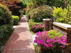 家门口的小路诗意浓-长泰东郊御园