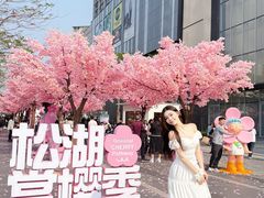 -东莞松山湖万象汇