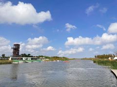 -春花秋色城市公园