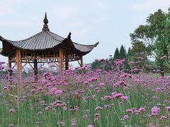 -杭州城北体育公园