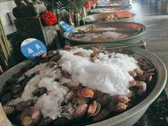 -皇家5号海鲜烤肉火锅自助餐(聊城总店)