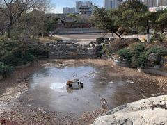 -善化寺